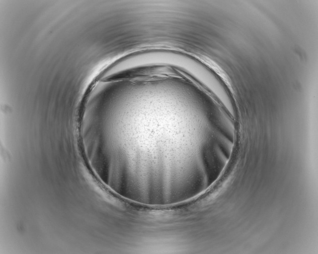 X0000090880989200708101341