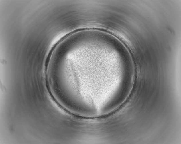 X0000090880990200708101341