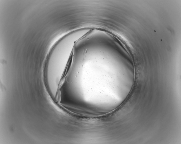 X0000090880991200708101341