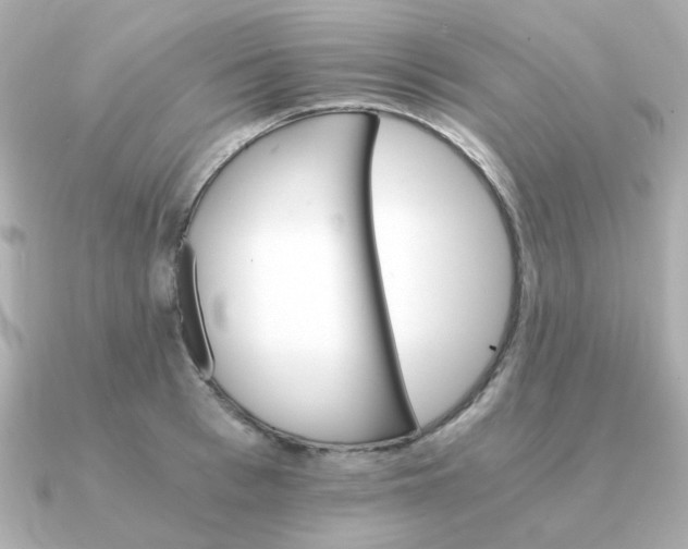 X0000090880993200708101341