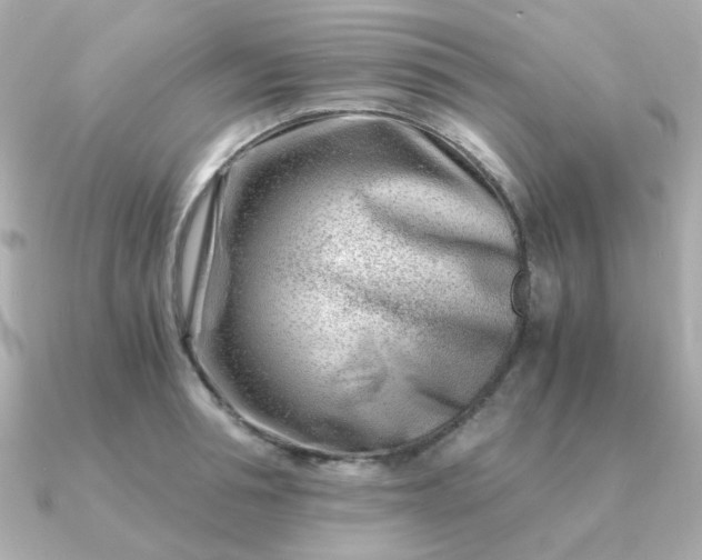 X0000090880994200708101341