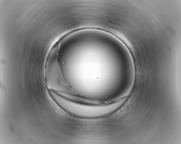 X0000090880996200708101341