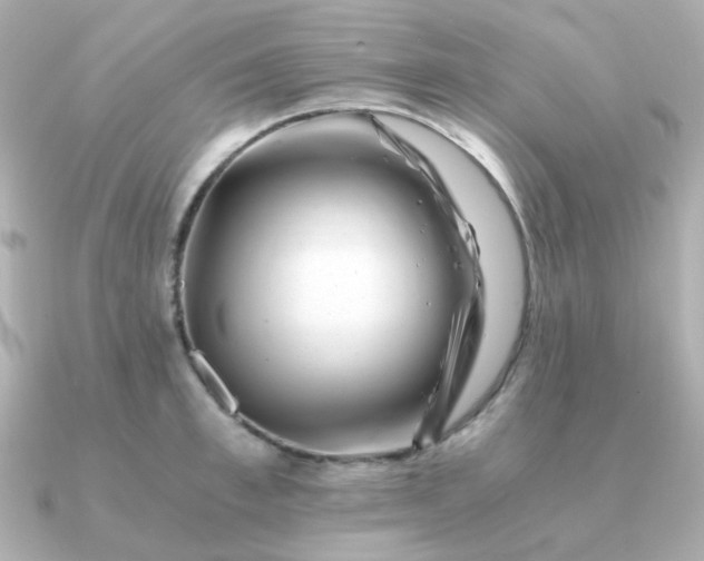 X0000090880997200708101341