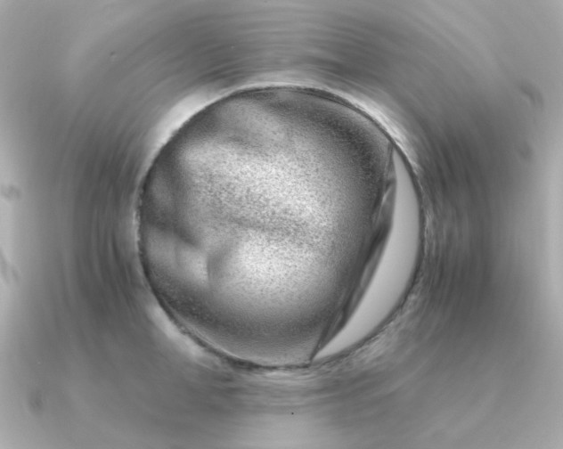 X0000090880998200708101341