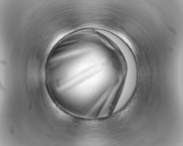 X0000090880999200708101341