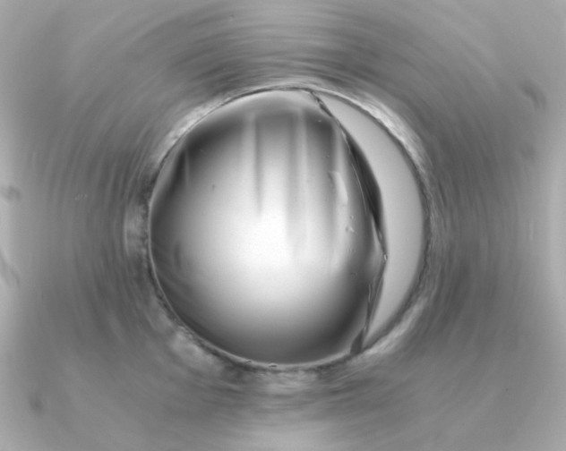 X0000090881001200708101341