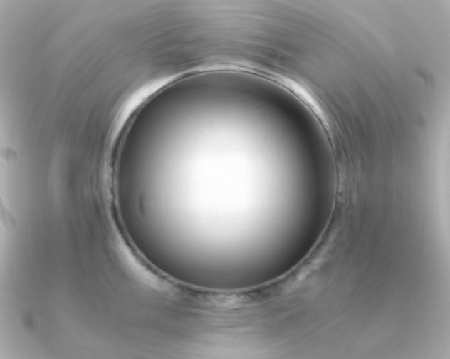 X0000090881003200708101341