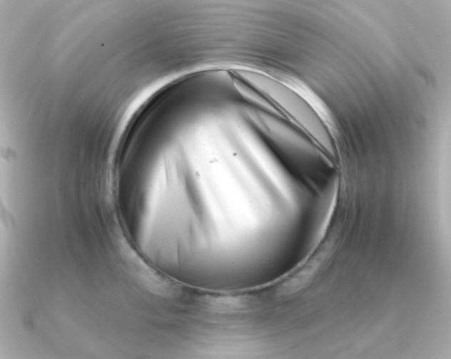 X0000090881004200708101341