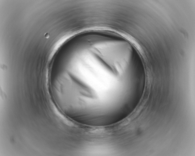 X0000090881006200708101341