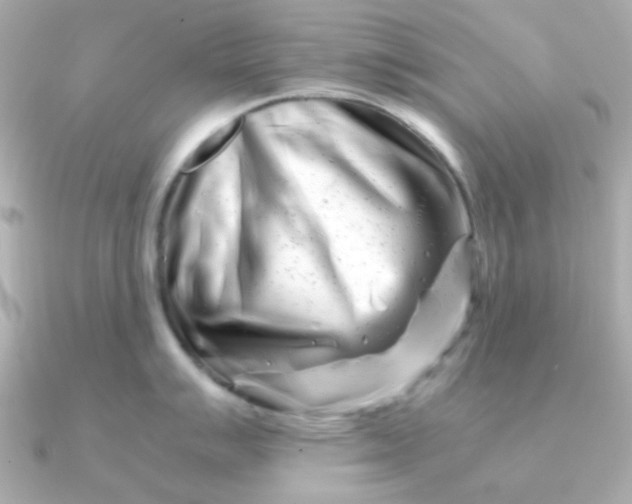 X0000090881007200708101341