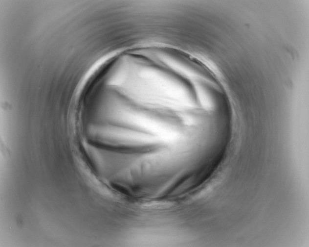 X0000090881008200708101341