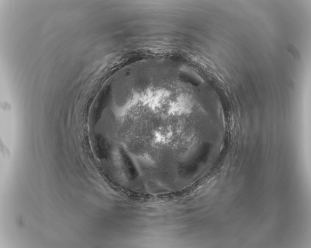 X0000090881009200708101341