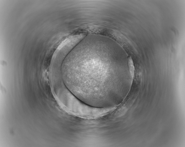 X0000090881010200708101341