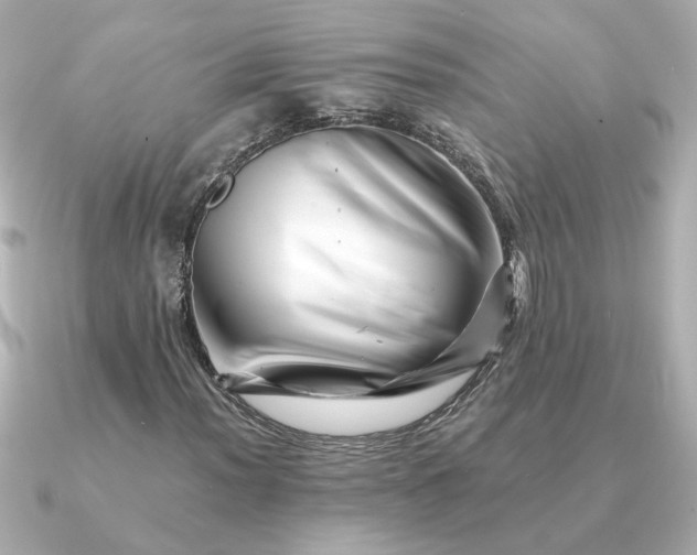 X0000090881012200708101341