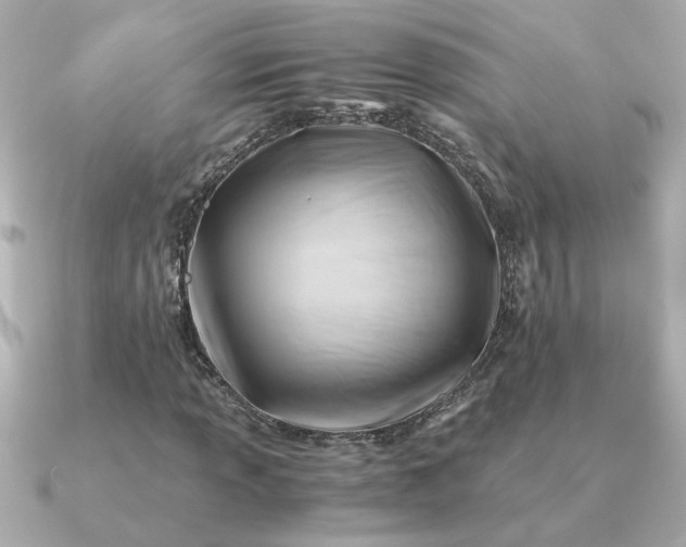 X0000090881013200708101341