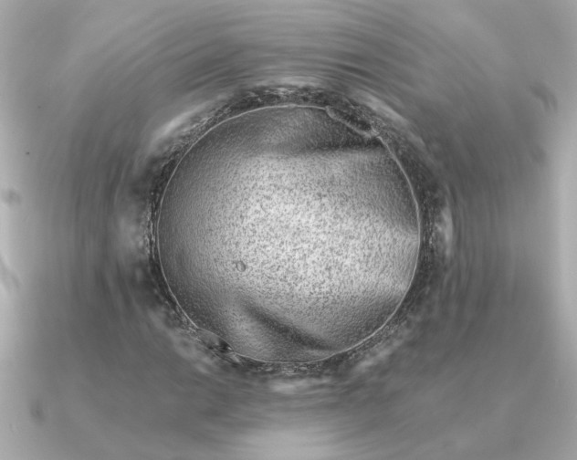 X0000090881014200708101341