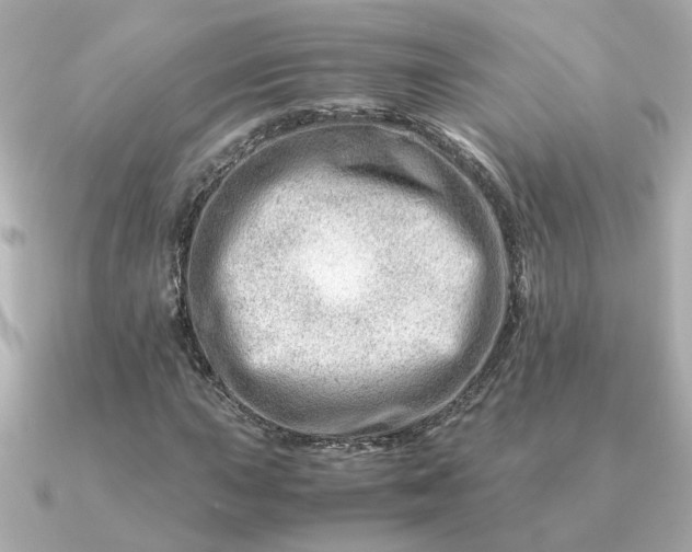 X0000090881015200708101341