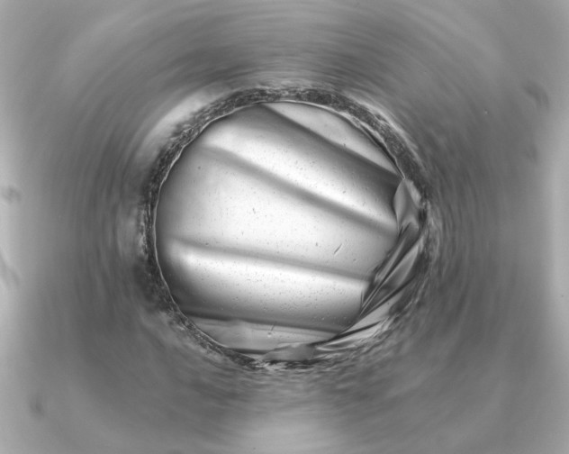 X0000090881016200708101341