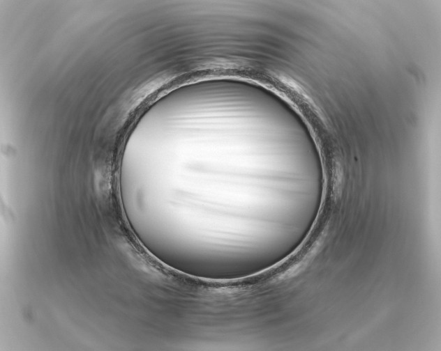 X0000090881017200708101341