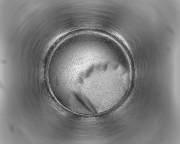 X0000090881019200708101341