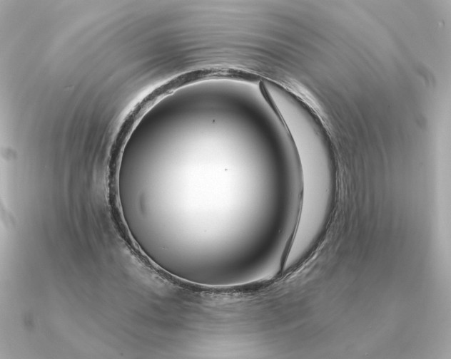 X0000090881020200708101341