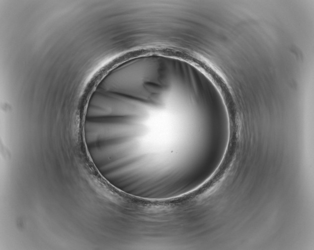 X0000090881021200708101341