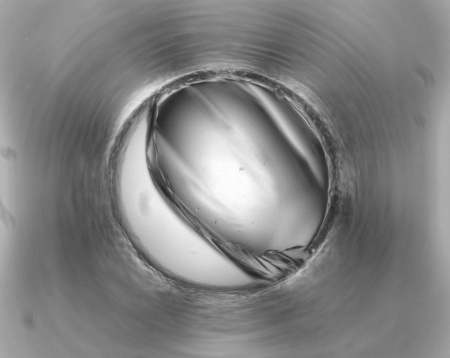 X0000090881022200708101341