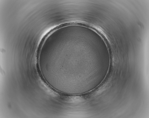 X0000090881024200708101341