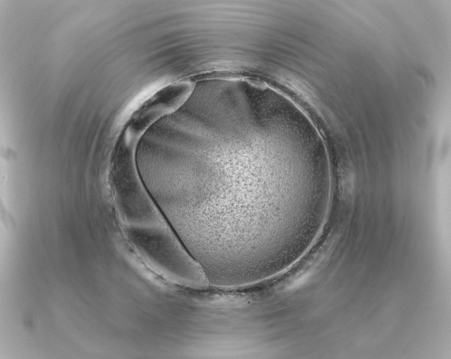 X0000090881026200708101341