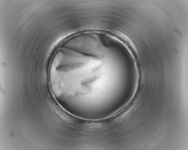 X0000090881027200708101341