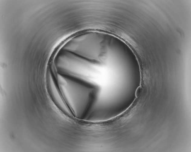 X0000090881028200708101341