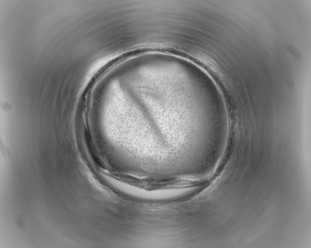 X0000090881030200708101341