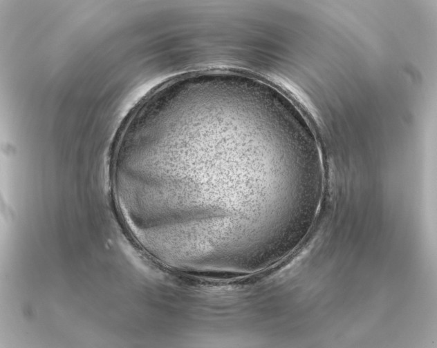 X0000090881031200708101341