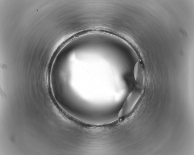 X0000090881032200708101341