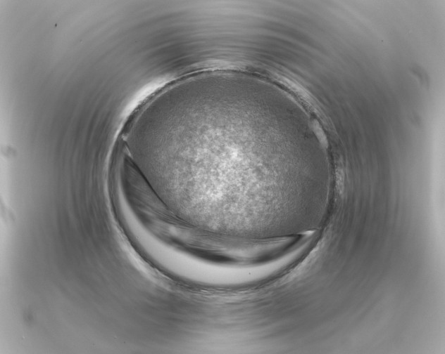 X0000090881034200708101341