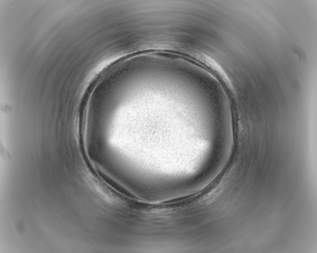 X0000090881035200708101341