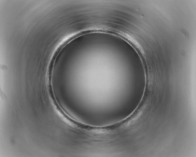 X0000090881037200708101341