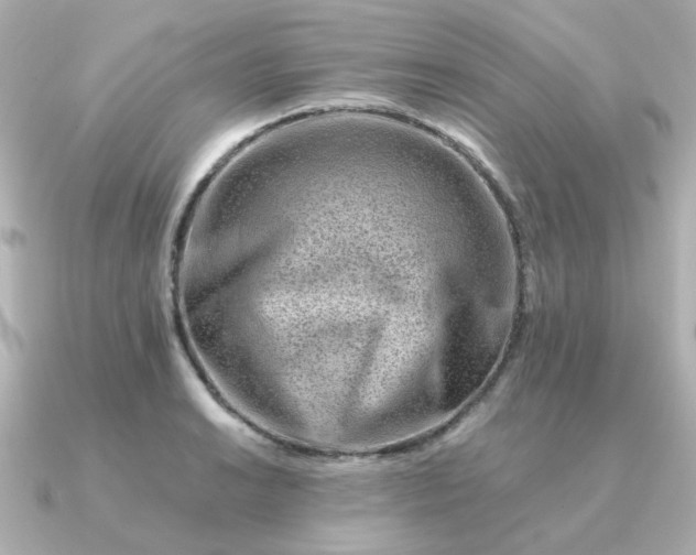 X0000090881038200708101341