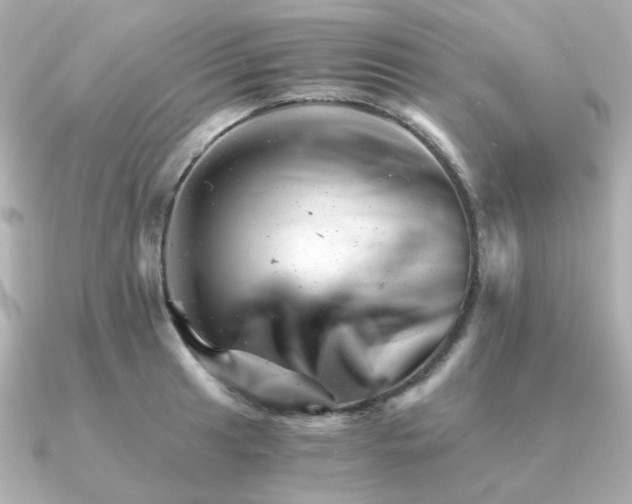 X0000090881041200708101341