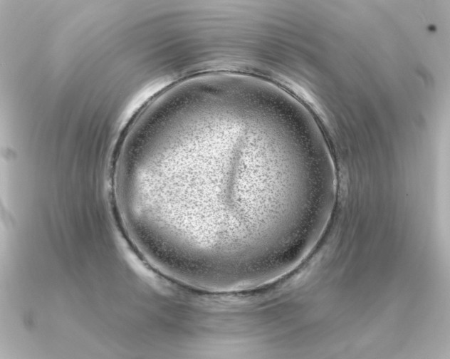 X0000090881042200708101341