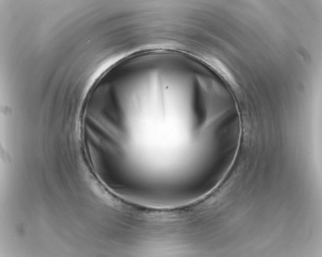 X0000090881044200708101341