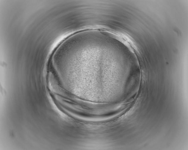 X0000090881046200708101341