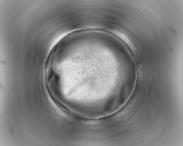 X0000090881047200708101341