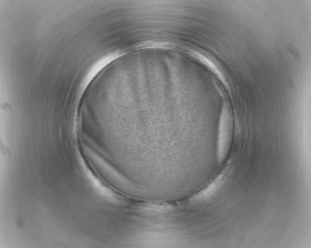 X0000090881050200708101341