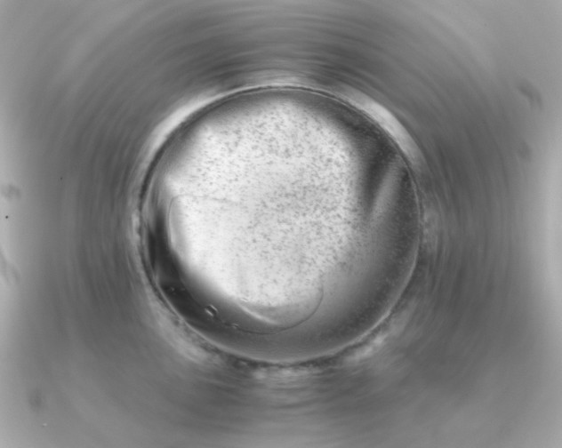 X0000090881051200708101341