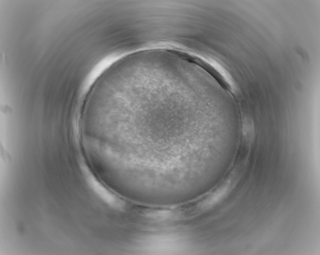 X0000090881054200708101341