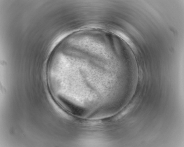 X0000090881055200708101341