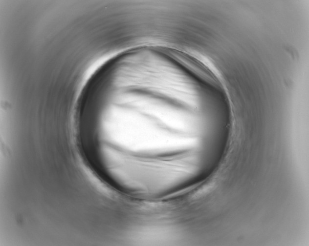 X0000090881056200708101341