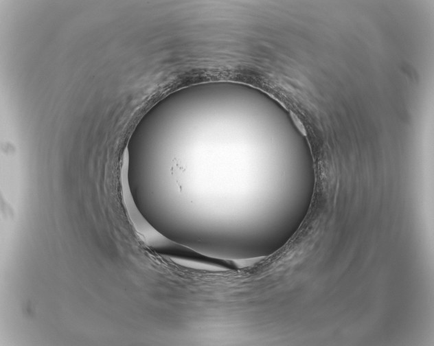 X0000090881057200708101341