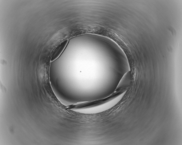 X0000090881058200708101340